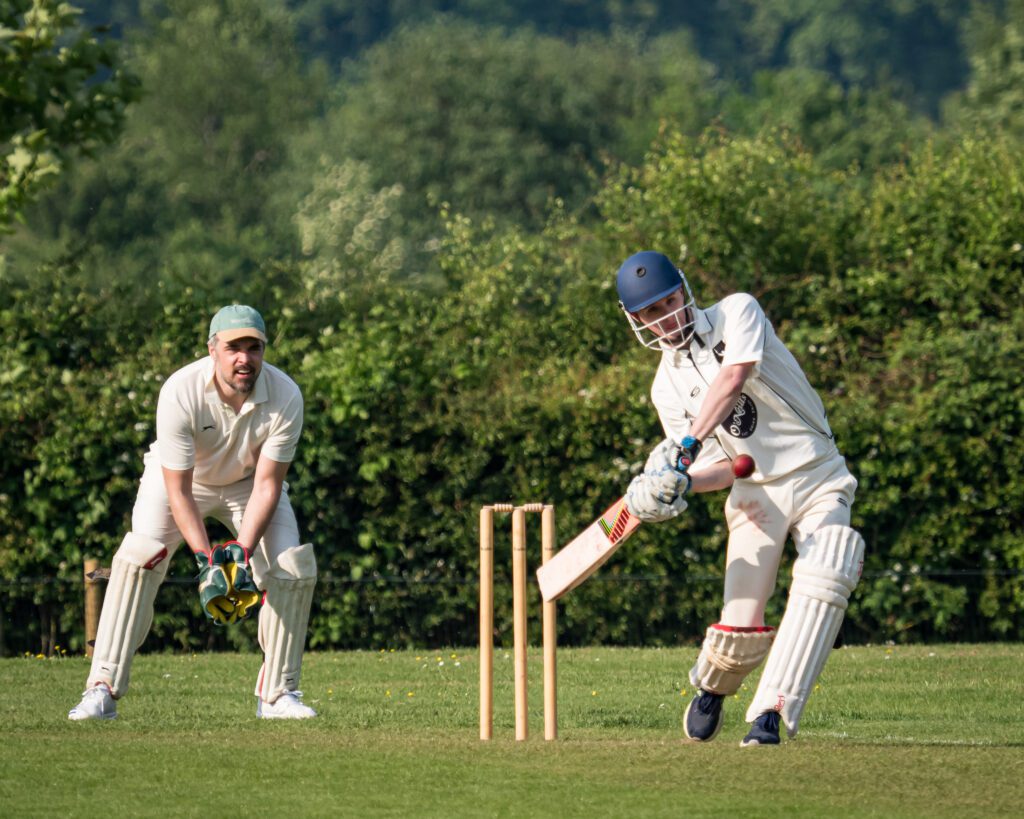 Arbour XI Cricket